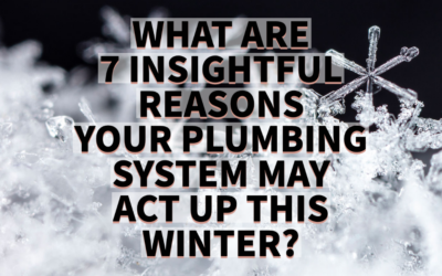 WHAT ARE 7 INSIGHTFUL REASONS YOUR PLUMBING SYSTEM MAY ACT UP THIS WINTER?      